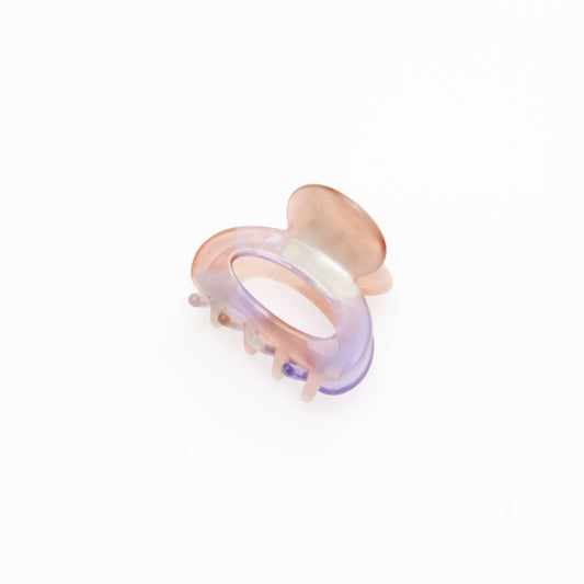 Small Oval Hair Clip in Candy