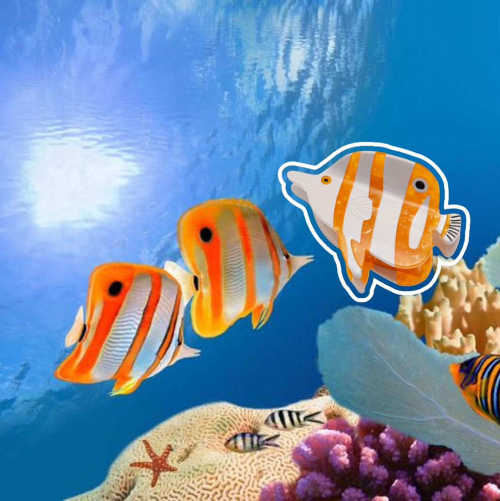A set of die-cut stickers featuring cartoon butterflyfish in an underwater coral reef scene, with two orange and white striped fish and a larger fish sticker shown floating above a blue ocean background.