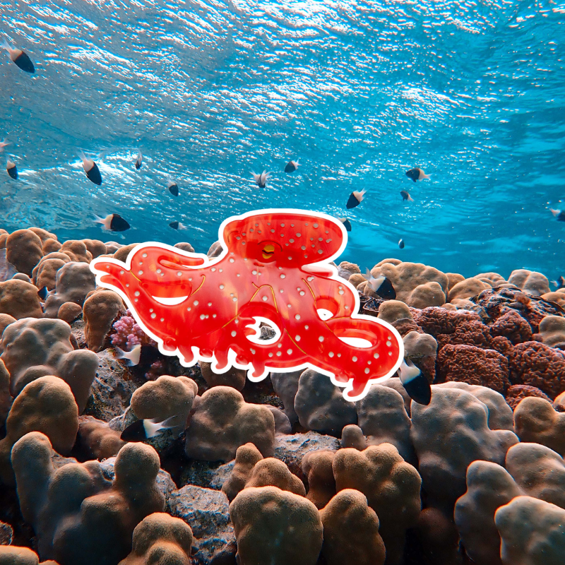 Red octopus claw clip shown in an underwater ocean scene