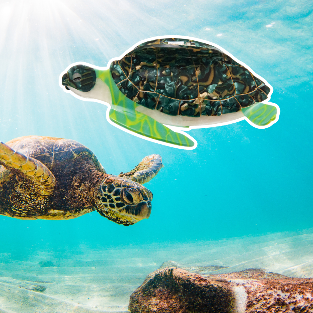 Sea turtle claw clip shown swimming in an underwater ocean scene
