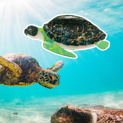 Sea turtle claw clip shown swimming in an underwater ocean scene