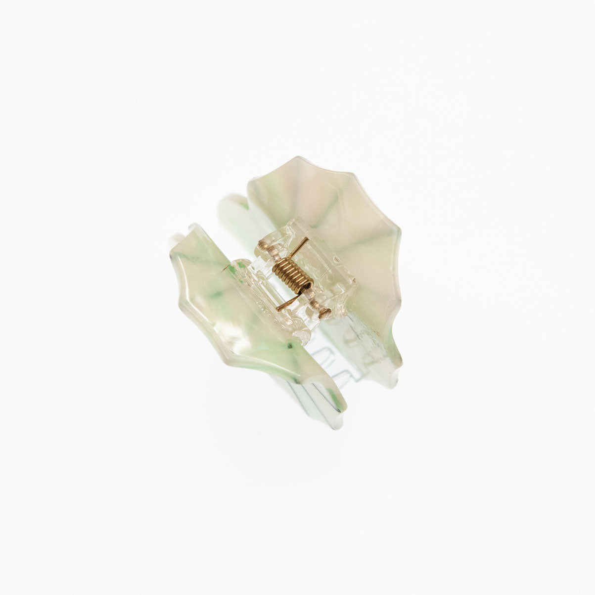 top view of seashell hair clip
